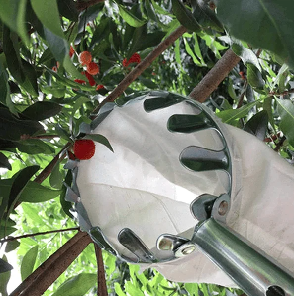 Fruit Picker Bag