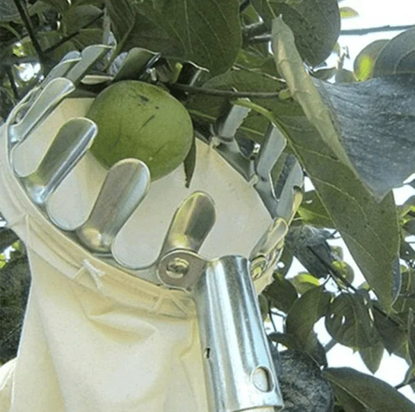 Fruit Picker Bag